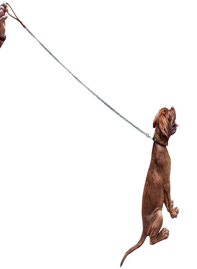 D&C PAWS Combo of Choke Collar and Handle Padded Length 152cm Leash Chain for Puppies & Adult Dog of All Breed - Image 4